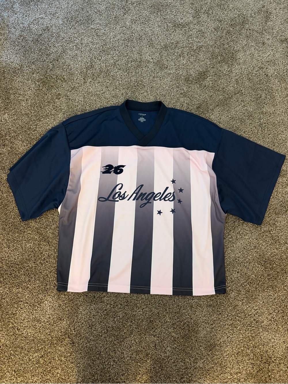 Pacsun Los Angeles Striped V-Neck women’s Jersey - Navy & Light Pink